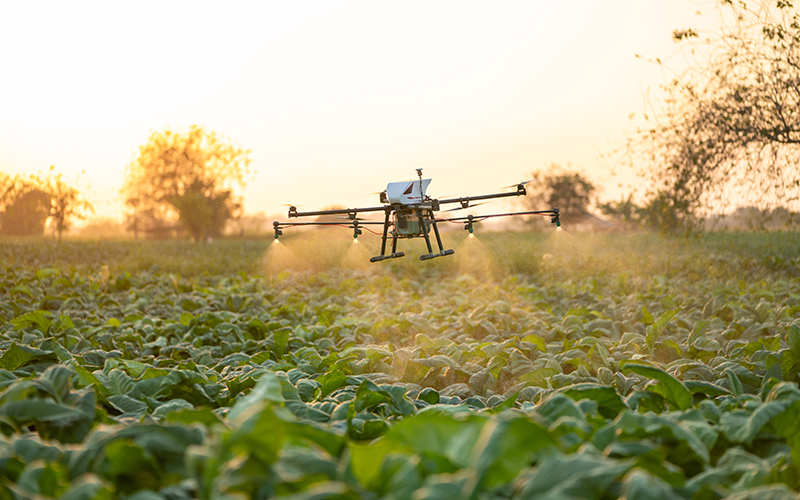 Emerging & Startup Markets